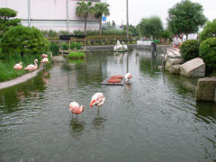 �������񂶂�A�C�X